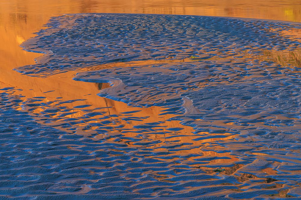 USA-Washington-Copalis Beach-Iron Springs. Patterns in beach sand at sunset.